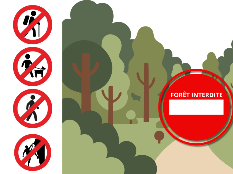 Forêt interdite