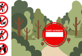 Forêt interdite