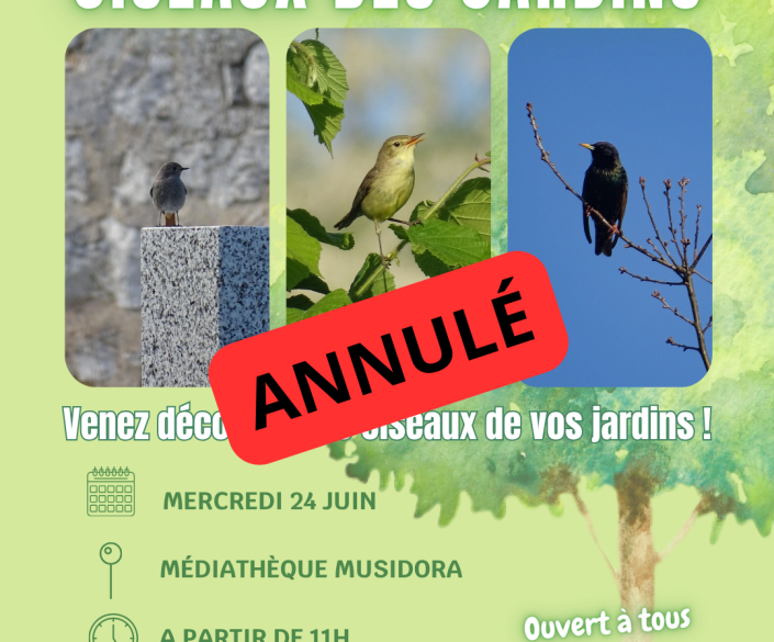 Oiseaux jardins annulé-juin 26