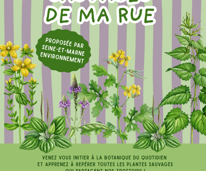 260604-conference-sauvages-de-ma-rue