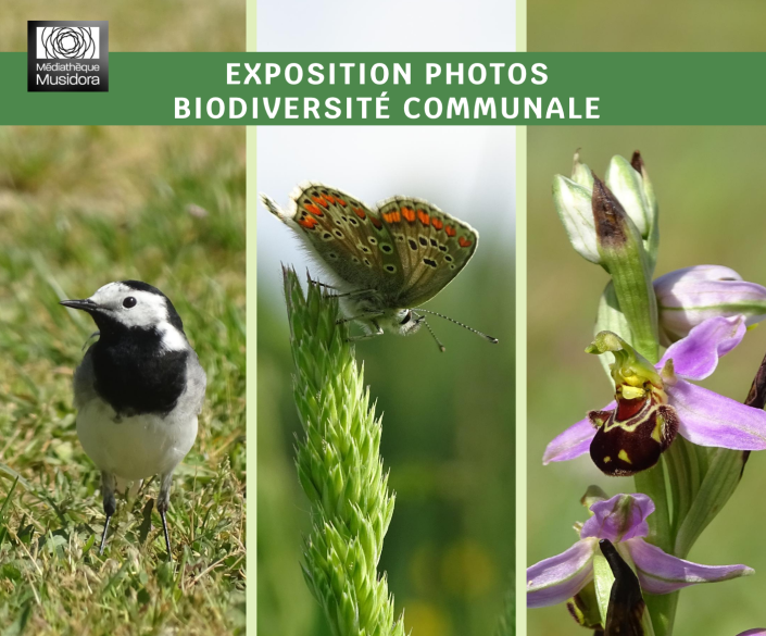 expo-photo-2026-07