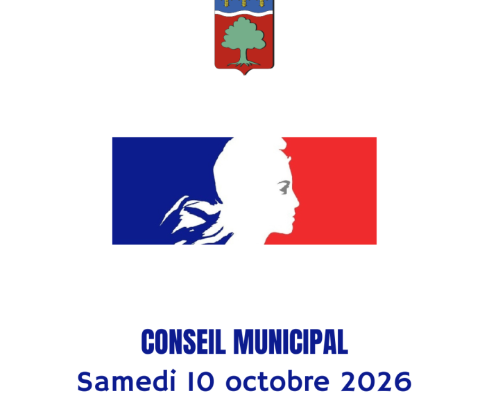 20261010_cm
