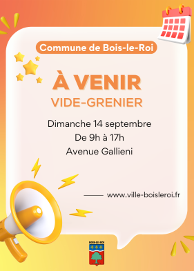 Vide-grenier