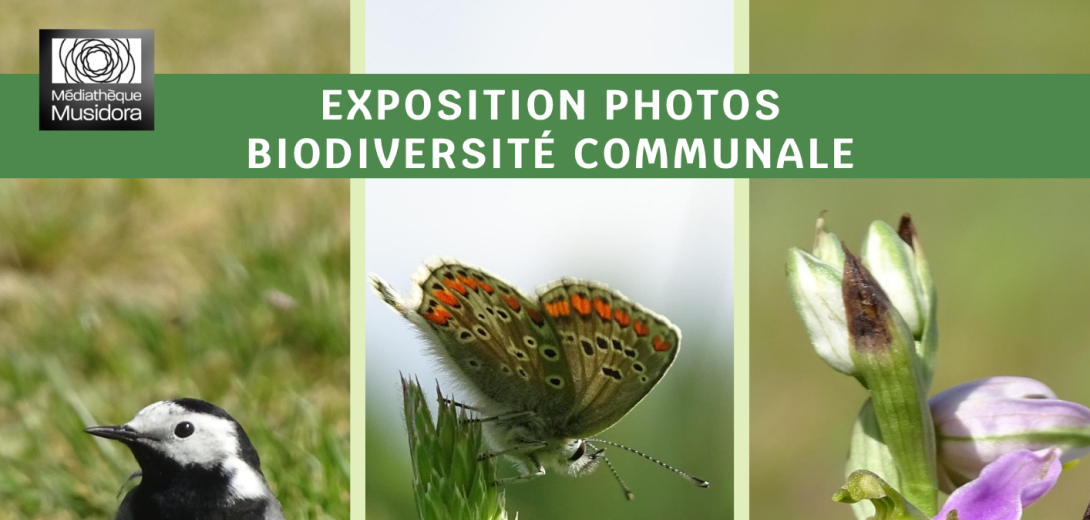 expo-photo-2026-07