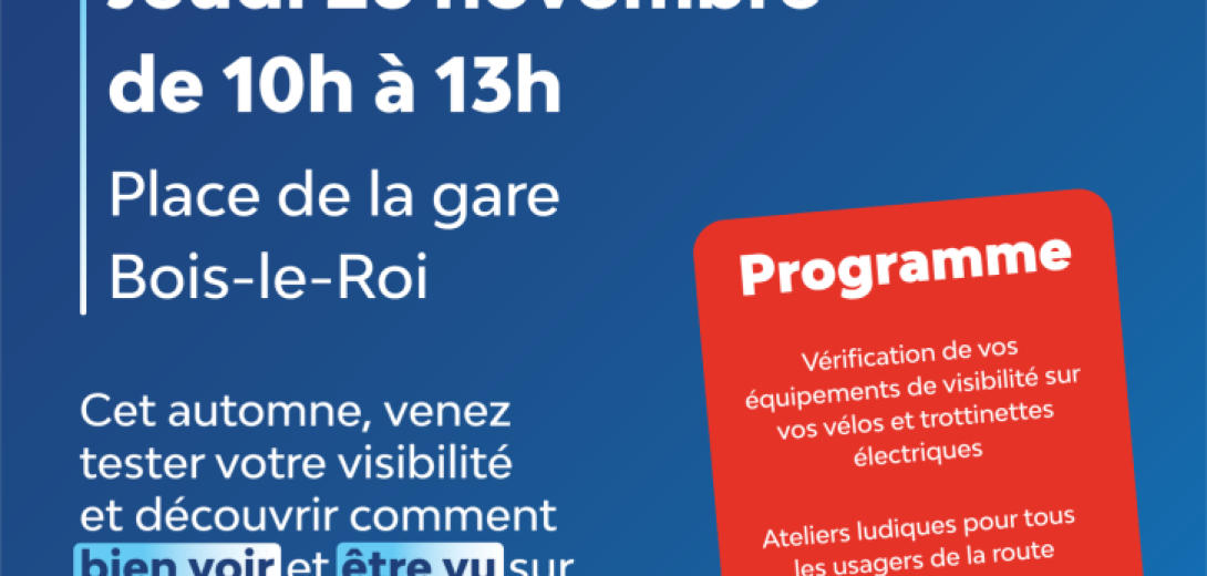 affiche-lumiere-vision-bois-le-ro