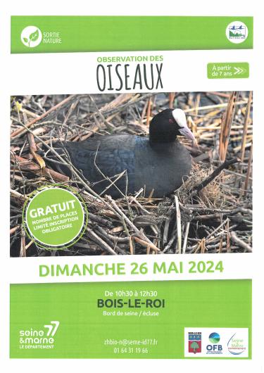 2024 05 26 obervation des oiseaux 2024 05 26 obervation des oiseaux