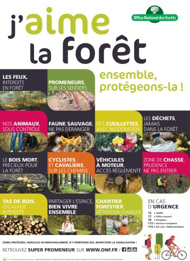 J&#039;aime la forêt