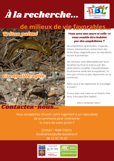 Avis de recherche : les amphibiens Avis de recherche : les amphibiens