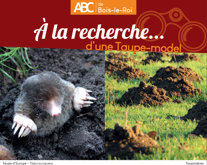 En creusant ses galeries, elles aèrent et fertilisent, favorisant l'infiltration de l'eau dans le sol. Elle chasse des cochenilles, vers et limaces, et en fait un auxiliaire de culture indispensable. En creusant ses galeries, elles aèrent et fertilisent, favorisant l'infiltration de l'eau dans le sol. Elle chasse des cochenilles, vers et limaces, et en fait un auxiliaire de culture indispensable.