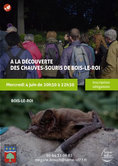 Chauves souris