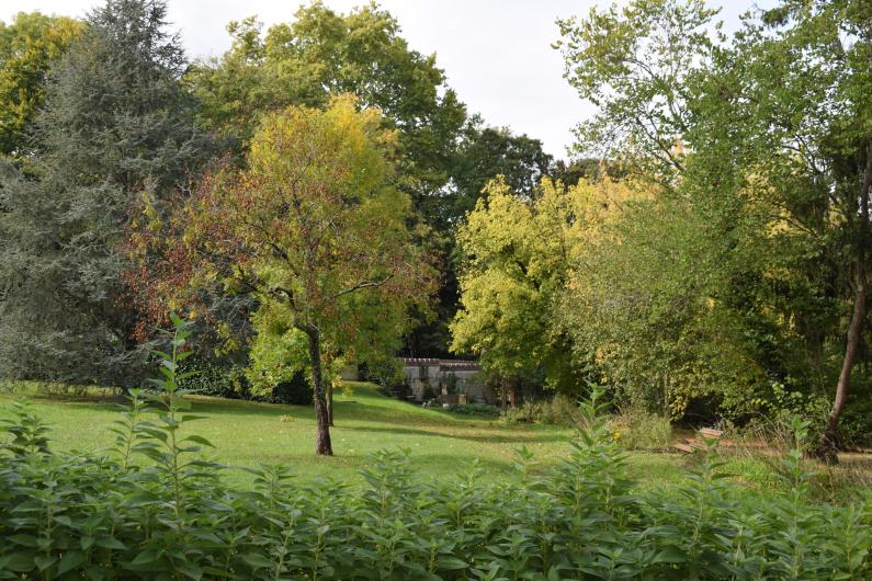 Parc de la mairie - Automne 2025