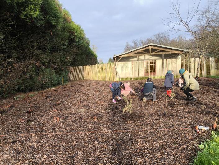 plantation-ecole-olivier-metra-3