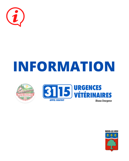 Info alerte chenilles processionnaires - vétérinaire