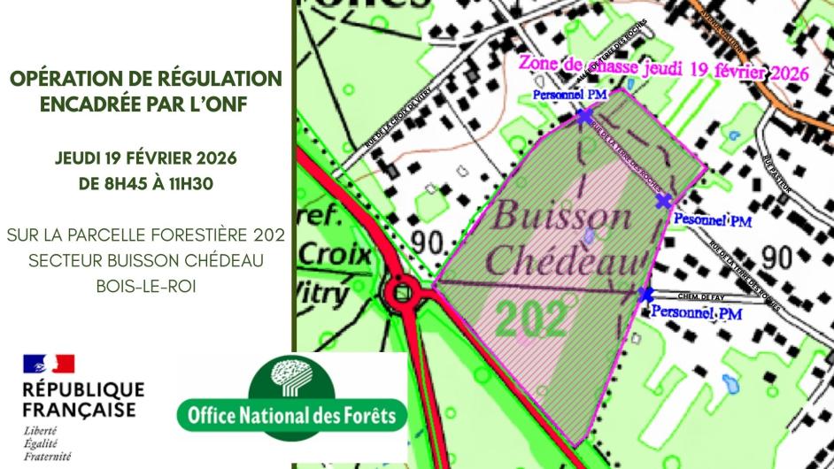 ONF Régulation 190226