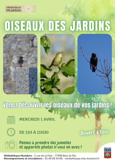 oiseaux jardins