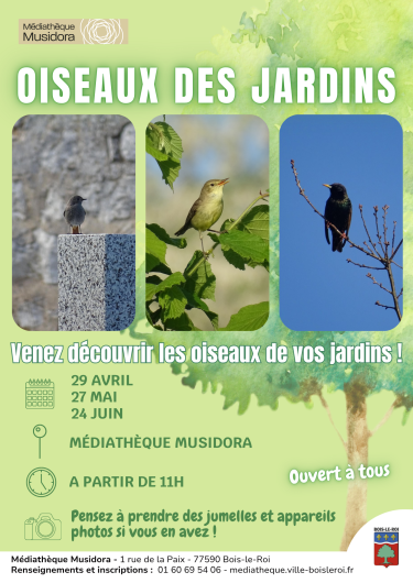 Oiseaux jardins avril-juin 26