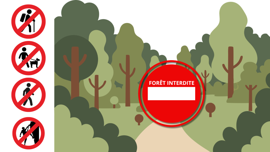 Forêt interdite