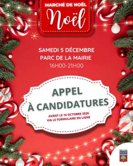appel candidature noel