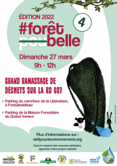 Affiche Forêt Belle