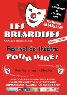 20ème édition festival les Briardises