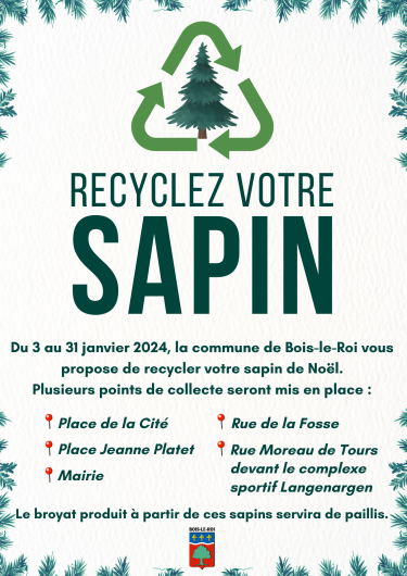 CARTE. Voici où recycler votre sapin de Noël près de chez vous à Reims