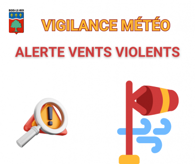 [ALERTE MÉTÉO - Vents violents en Seine-et-Marne]