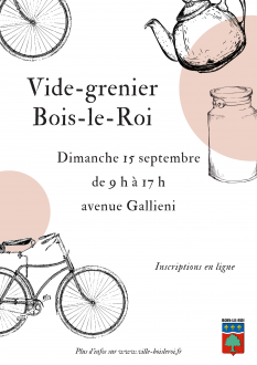 Vide-grenier