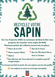 Recyclage sapins