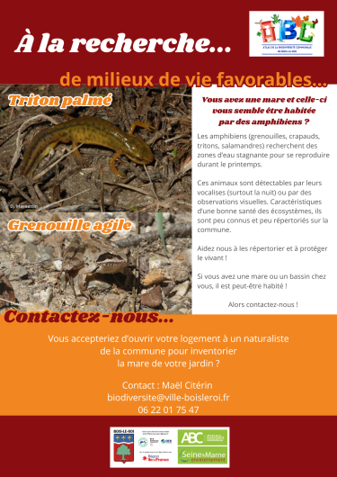 Avis de recherche : les amphibiens