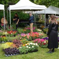 Fête du printemps 2025 -1