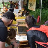 Fête du printemps 2025-2