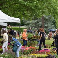 BLR fête le printemps 2025-5
