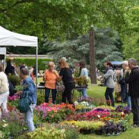 Fête du printemps 2025-3