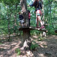 soleilbacot - Juillet 2026 - accrobranche