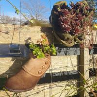 3 P'tits Pins clôture