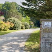 ALLEE DE BROLLES. MARC TOCQUET