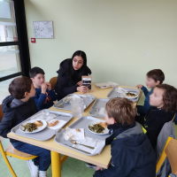  animations-api-novdec2025-2