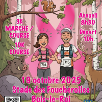Affiche Bacot Rose