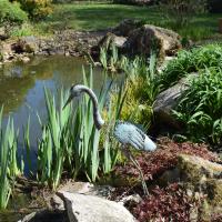 Particulier M. Renault