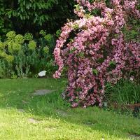 Particulier M. Dugain