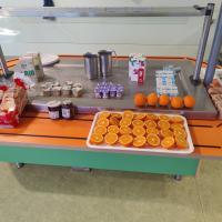 animation API - 01-2026 3