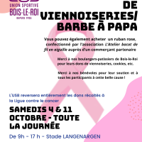 USB octobre rose 2
