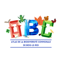 Logo ABC Bois le Roi