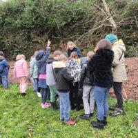 plantation-ecole-olivier-metra-1