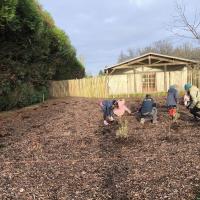 plantation-ecole-olivier-metra-2