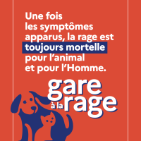 Gare à la rage 2