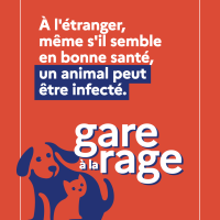 Gare à la rage 3