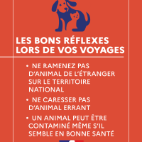Gare à la rage 4