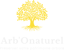Entretien des arbres