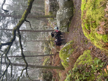 Marche en forêt au Rocher Canon du 12 février 2025